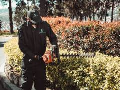 jardines-7