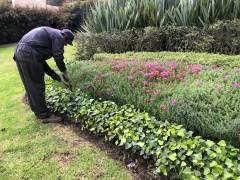 jardines-3